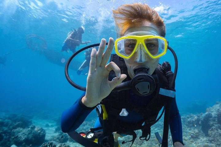 Experience the underwater world of Dubai where the wonders of marine life await. Dive into adventure with a PADI certification and explore breathtaking coral reefs.
